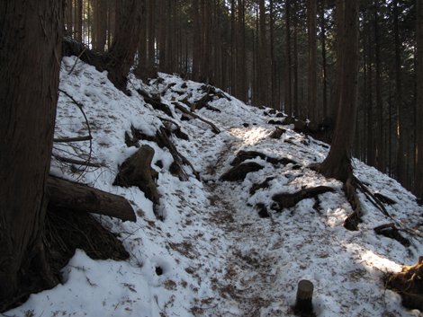 20160128hike (63)